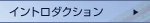 �C���g���_�N�V����